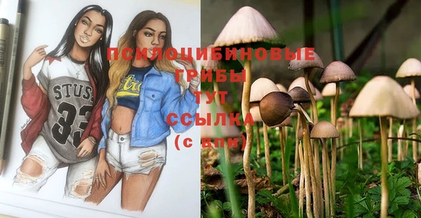 герыч Белокуриха