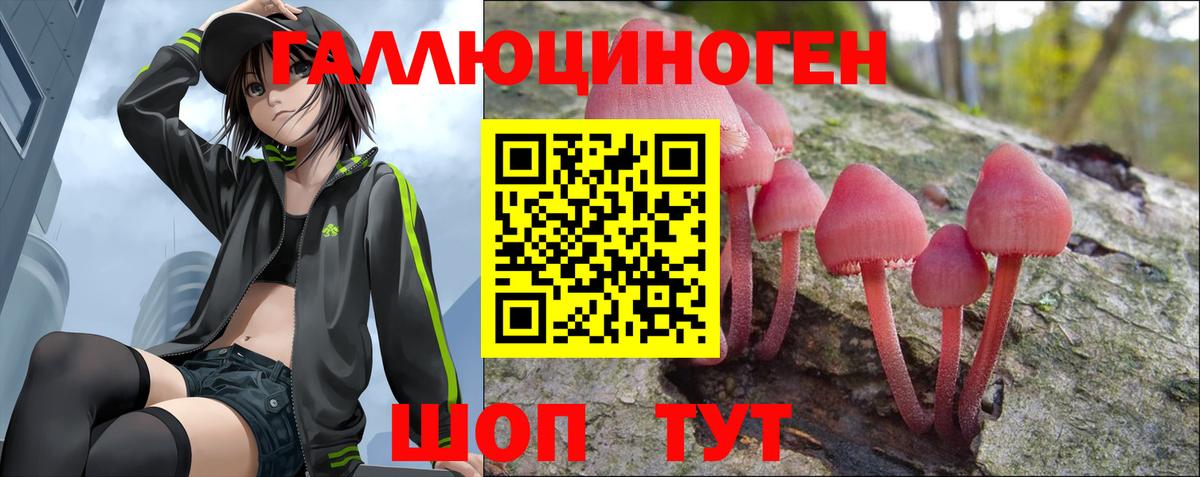 Галлюциногенные грибы Magic Shrooms  Вход с VPN  Бутурлиновка  Галлюциногенные грибы GOLDEN TEACHER 