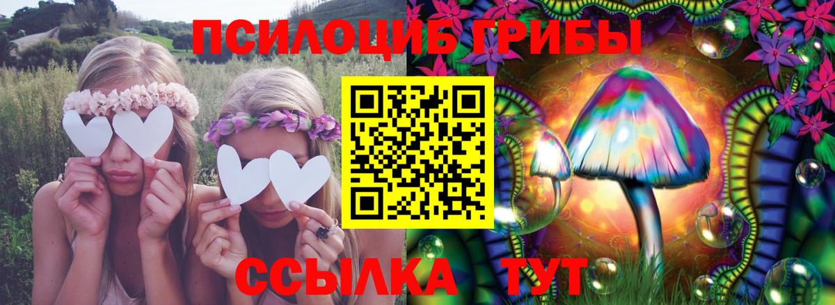 Псилоцибиновые грибы Psilocybine cubensis Бутурлиновка